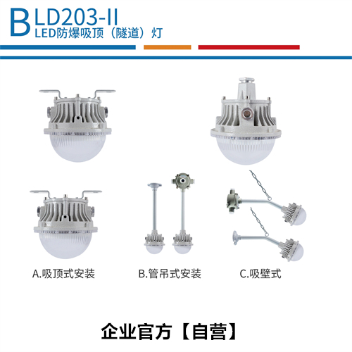 LED防爆吸顶灯（隧道）灯  BLD2003-II系列